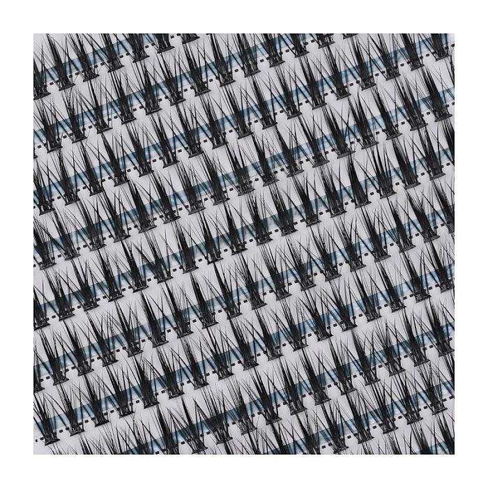 Gene false big pack lily