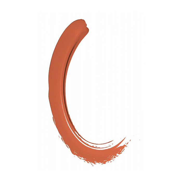 Lip gloss matte