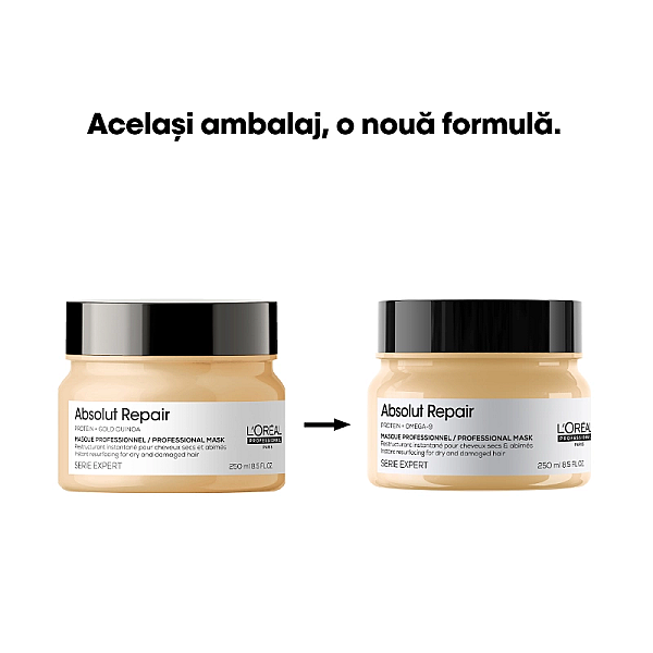 Masca pentru par uscat si deteriorat serie expert absolut repair 