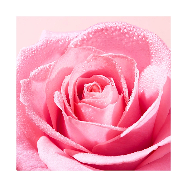 Spuma de curatare very rose