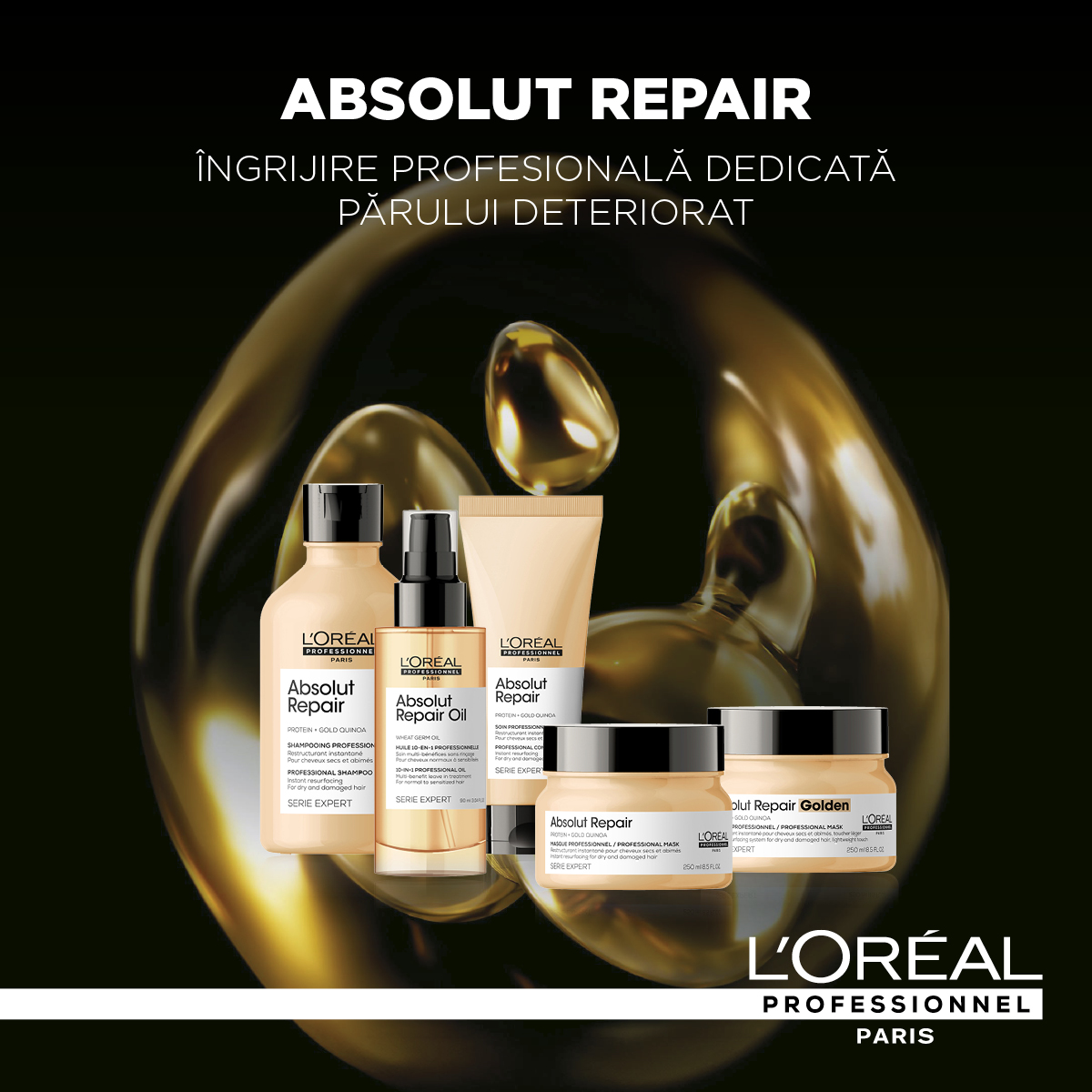 ABSOLUT REPAIR