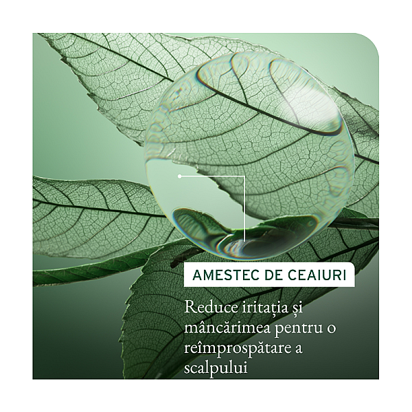 Sampon clarifiant scalp sync pentru scalp gras cu exces de sebum