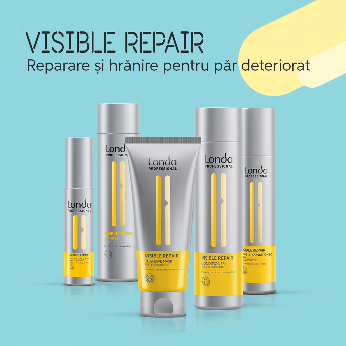 Visible Repair