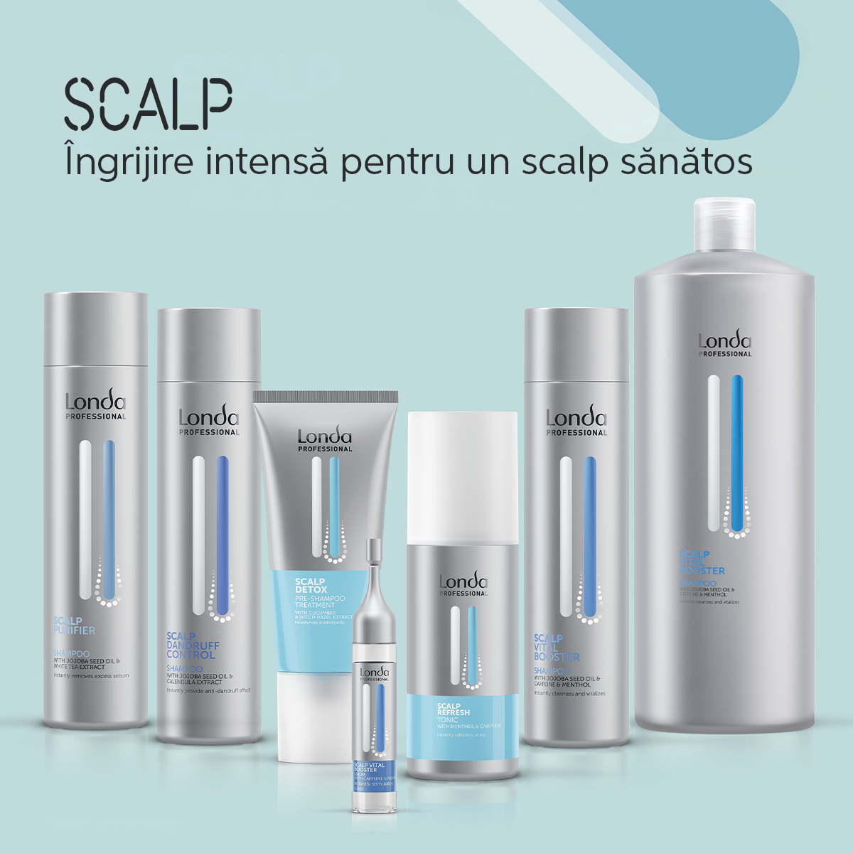 Scalp