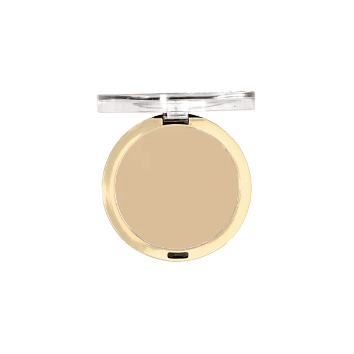 Pudra compacta anti-sebum Conceal + Perfect