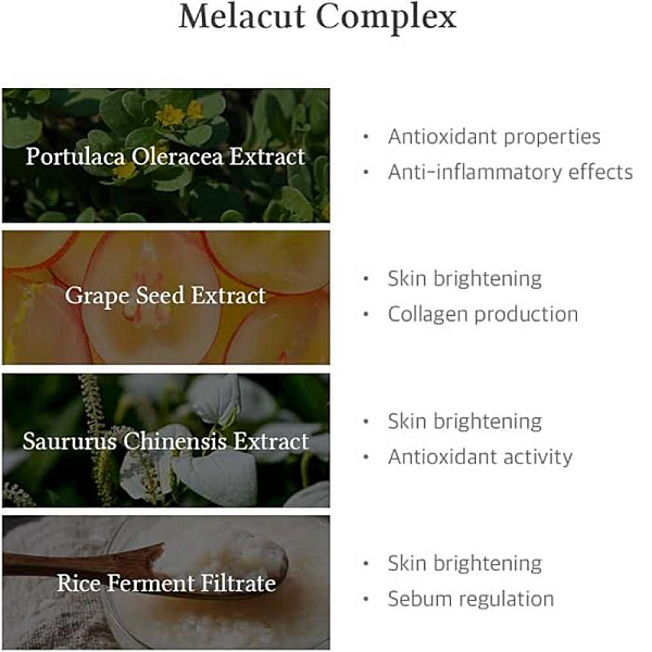 Serum facial cu 15% Niacinamide Purity Serum