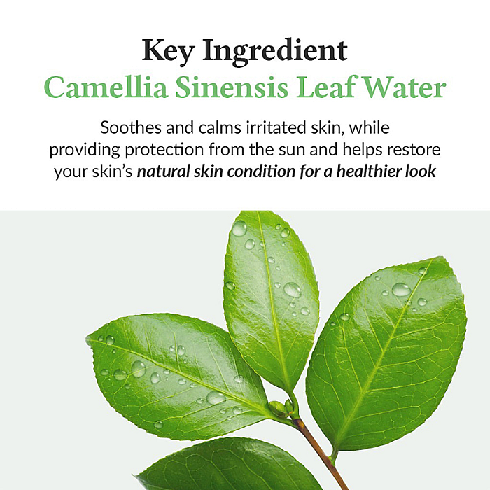 Crema cu protectie solara cu ceai verde si Centella Asiatica Green Tea Fresh Sunscreen