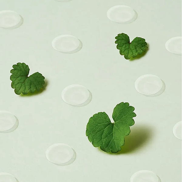 Plasturi pentru acnee cu Centella Asiatica Wonder Releaf Centella Spot Patch