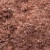 PIGMENT 14