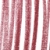 SP 62