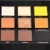 NORTH NUDES PALETTE