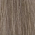 Colorverse 11.1 Blond Platinat Deschis Cenusiu