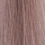 Colorverse 10.21 Blond Platinat Violet Cenusiu