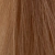 Pastel Toner Sampanie