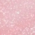 RG Fairy Rose