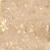 HC Sunflower Honey
