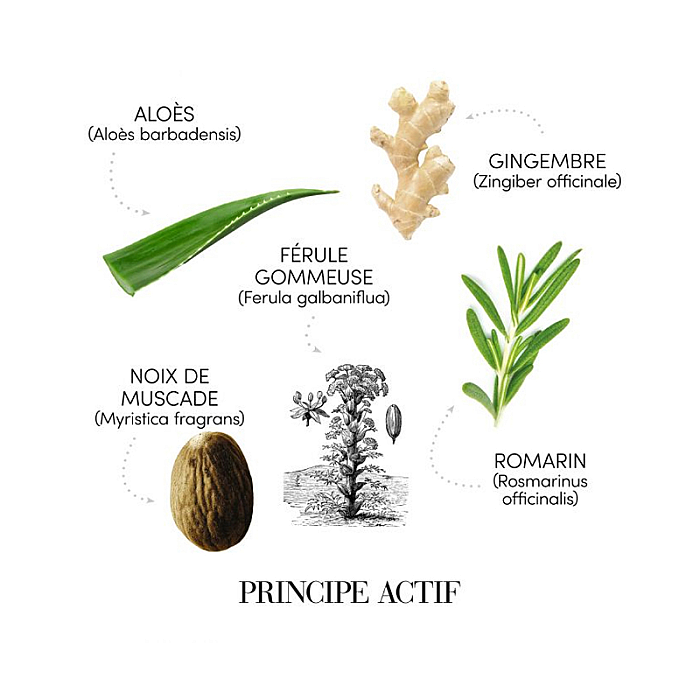 Fiole anti-matreata si anti-mancarimi fara clatire Puroxine Anti-dandruff lotion