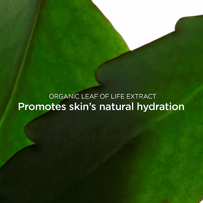 Exfoliant crema pentru fata Refreshing Cream Scrub