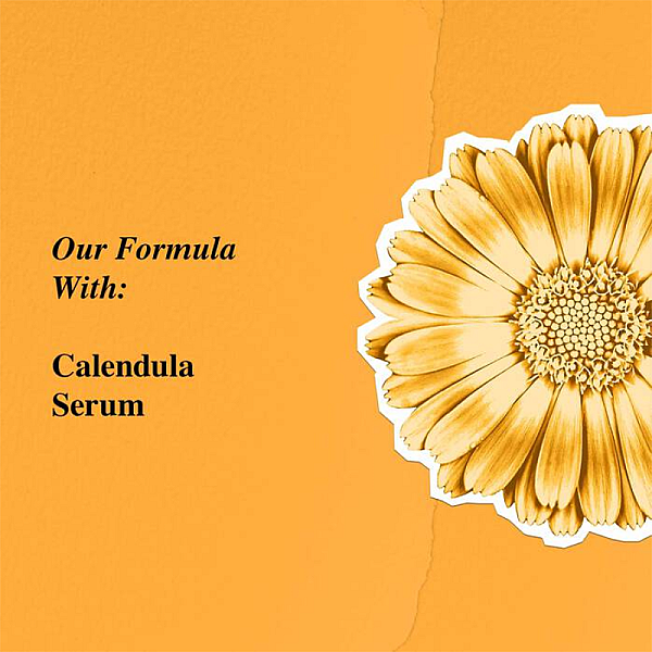 Crema hidratanta cu extract de galbenele Calendula Serum-Infused Water Cream