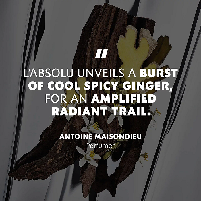MYSLF L'Absolu