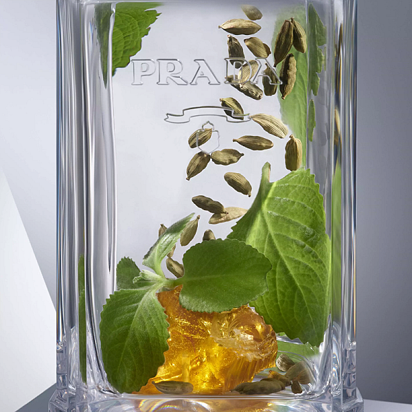L'Homme Eau de Parfum Intense