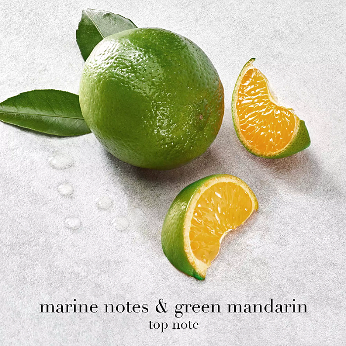 Acqua di Giò Eau de Parfum