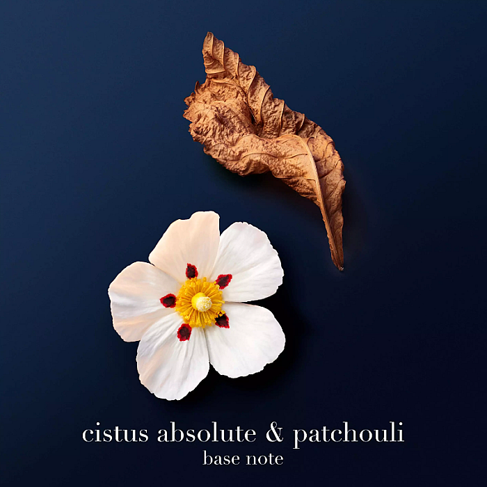 Acqua di Giò Profondo Parfum