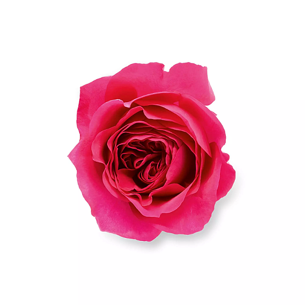 Because It's You Eau de Parfum