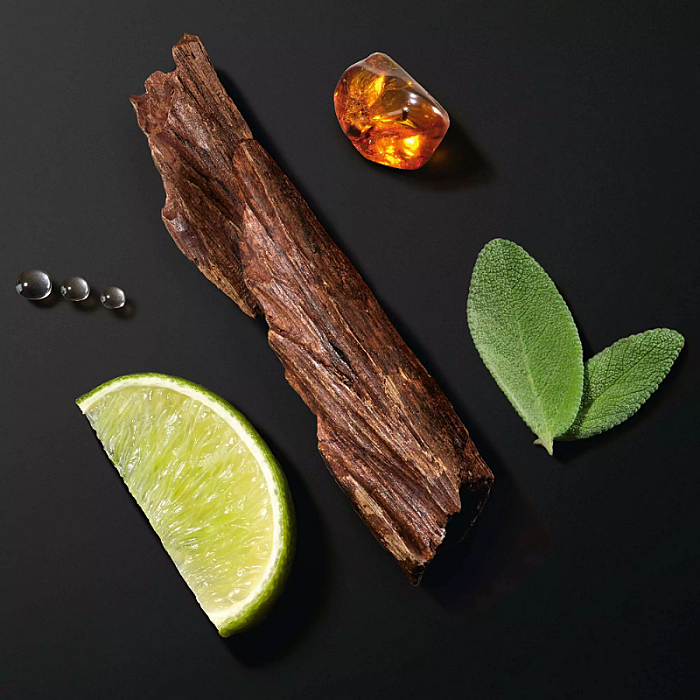 Acqua di Giò Eau de Parfum Intense