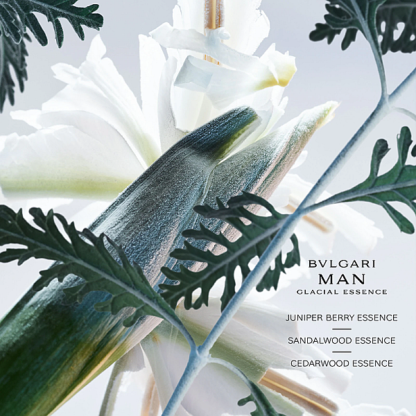 Man Glacial Essence Eau de Parfum