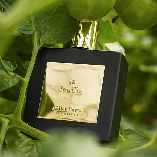 La Feuille Eau de Parfum