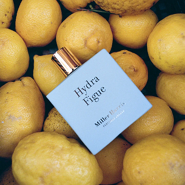 Hydra Figue Eau de Parfum