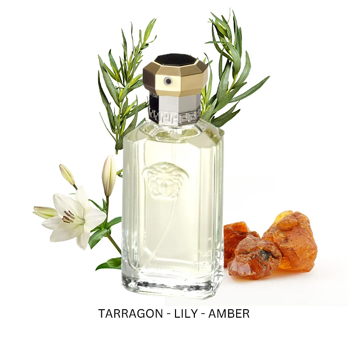 The Dreamer Eau de Toilette
