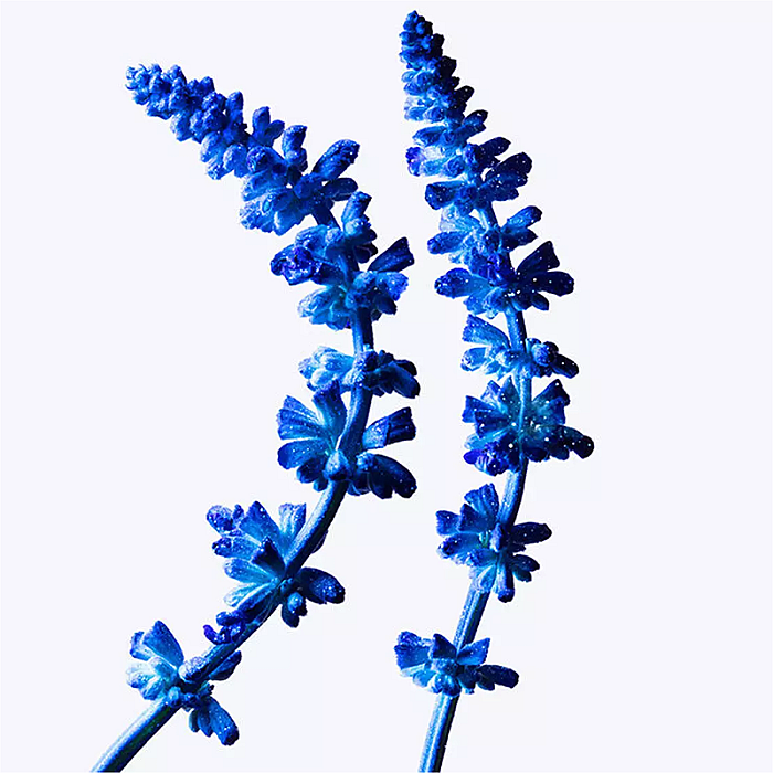 A*Men Stellar Eau de Parfum