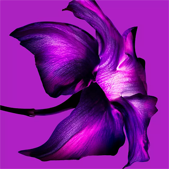 Alien Extraintense Eau de Parfum