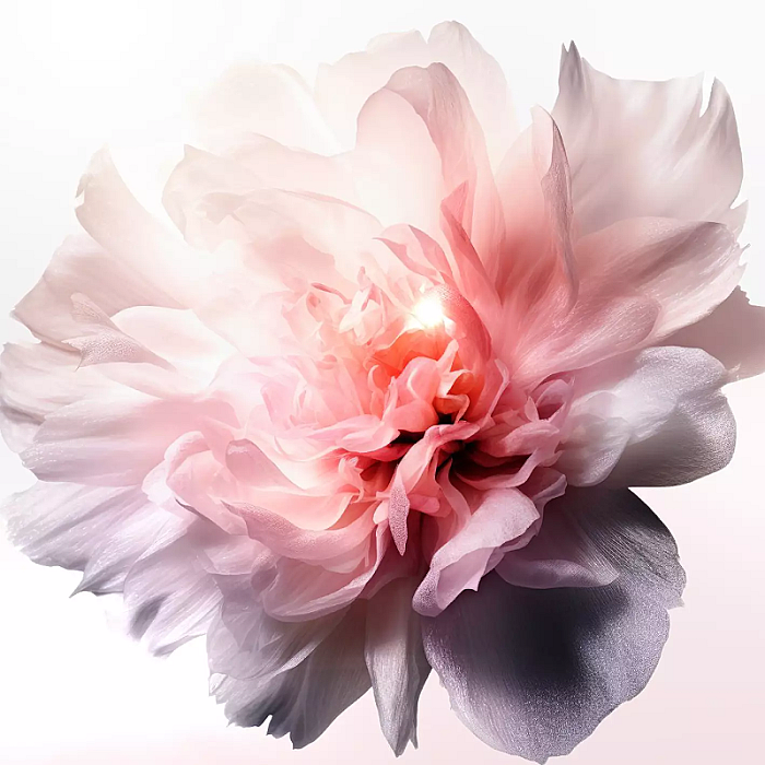 Angel Eau de Toilette