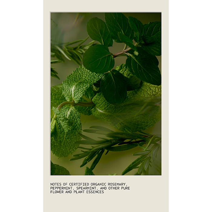 Balsam pentru volum si stralucire Rosemary Mint Weightless Conditioner