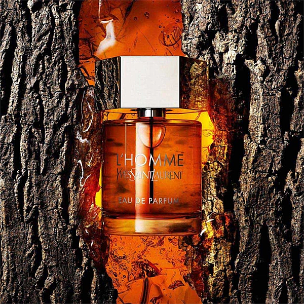 L'Homme Eau de Parfum
