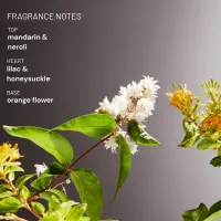 Gel de dus Orange Blossom & Neroli Body Wash