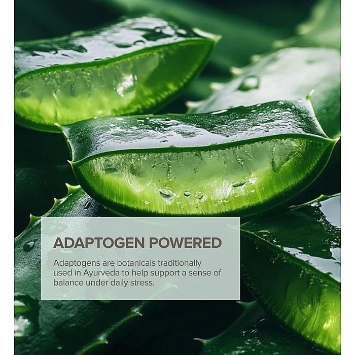 Unt de corp cu Acid Hialuronic si Aloe Vera Calm Water Body Butter
