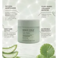 Scrub de corp cu Acid Hialuronic si Aloe Vera Calm Water Body Scrub