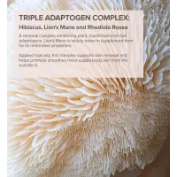 Unt de corp cu Ceramide si Hibiscus Radiant Blossom Body Butter