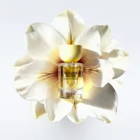 Parfum pentru par cu efect de stralucire Golden Gloss