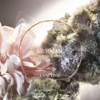 Absolue Les Parfums Not your Rose Eau de Parfum
